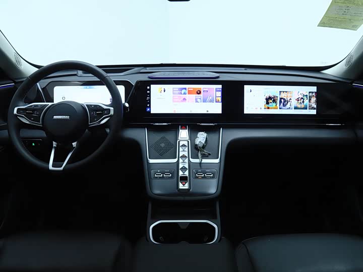 Фото 13 - Haval Ruge Max