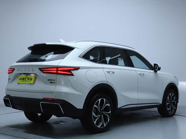 Фото 18 - Haval Ruge Max