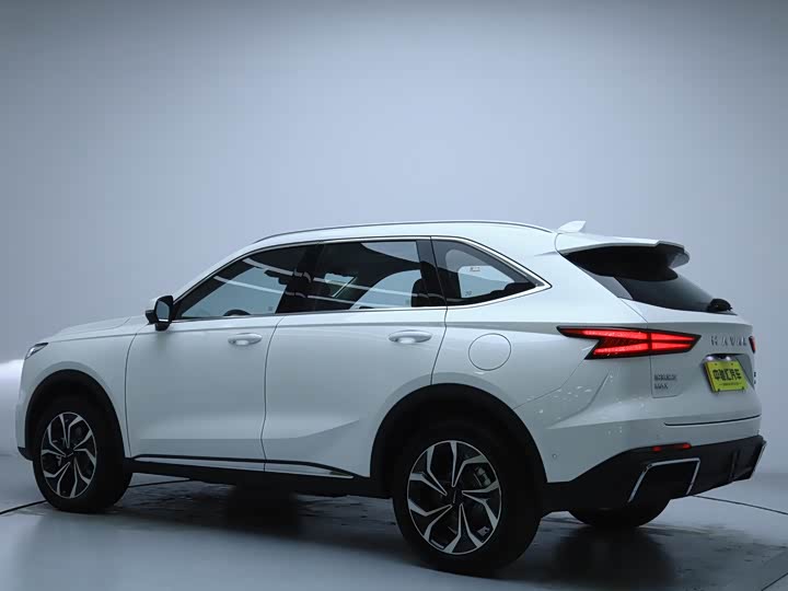 Фото 20 - Haval Ruge Max