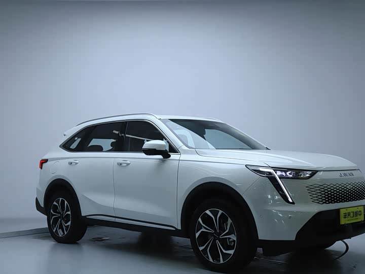 Фото 3 - Haval Ruge Max