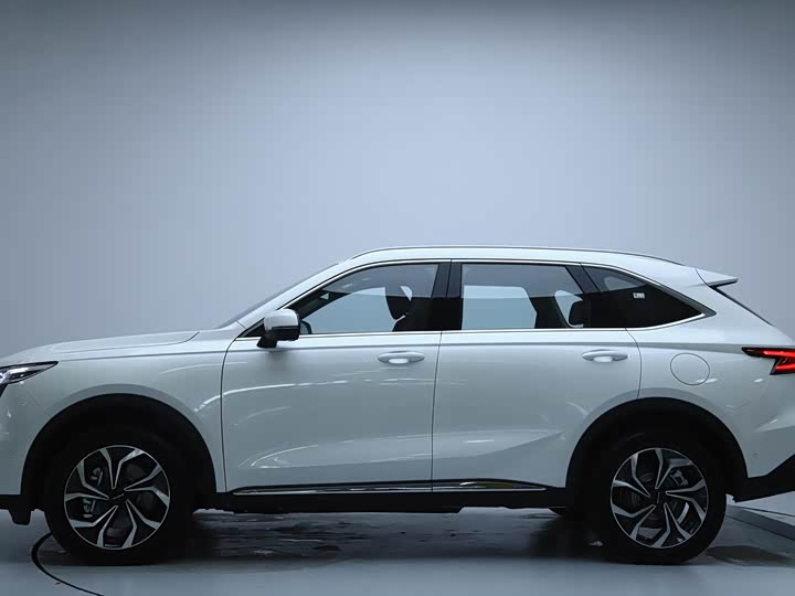 Фото 4 - Haval Ruge Max