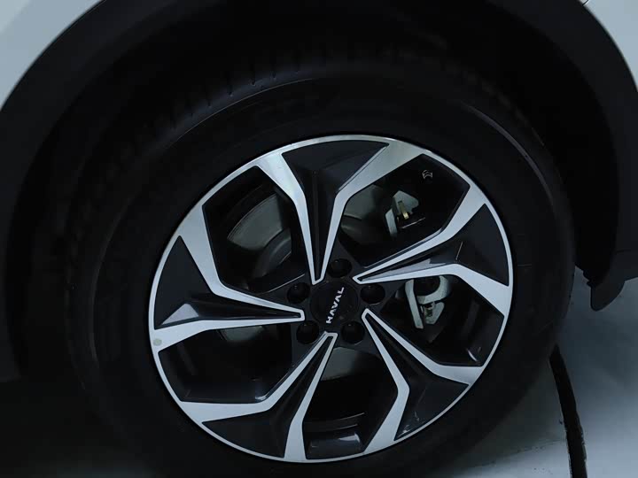 Фото 5 - Haval Ruge Max