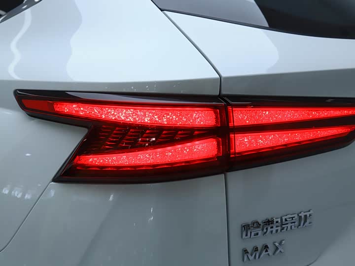 Фото 6 - Haval Ruge Max