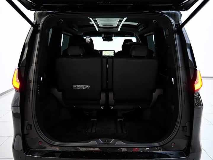 Фото 40 - Lexus LM