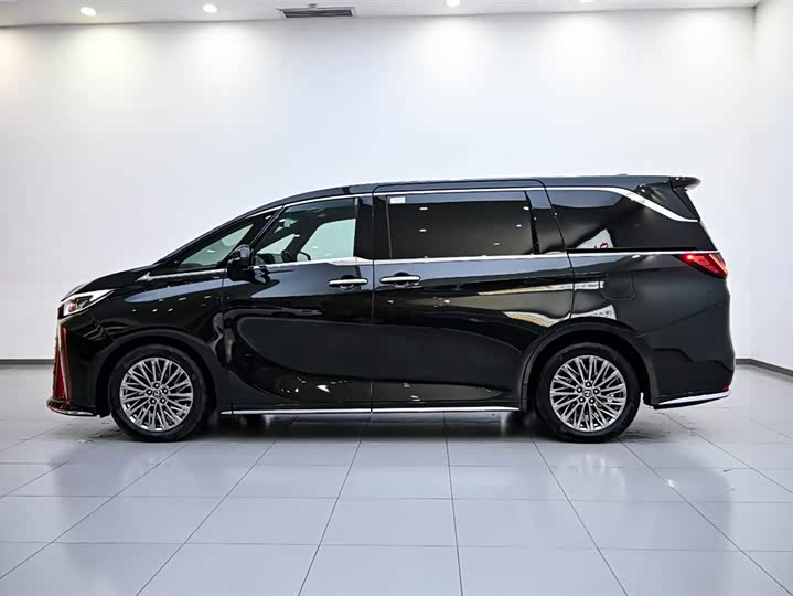 Фото 5 - Lexus LM