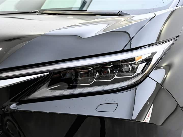 Фото 8 - Lexus LM