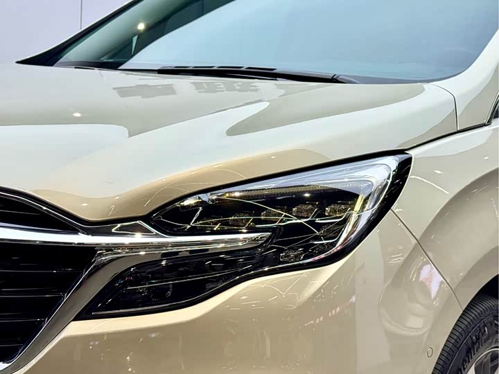 Фото 23 - Buick GL8 ES