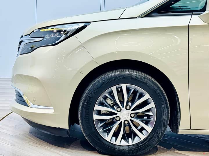 Фото 26 - Buick GL8 ES