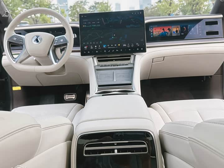 Фото 12 - Denza Z9