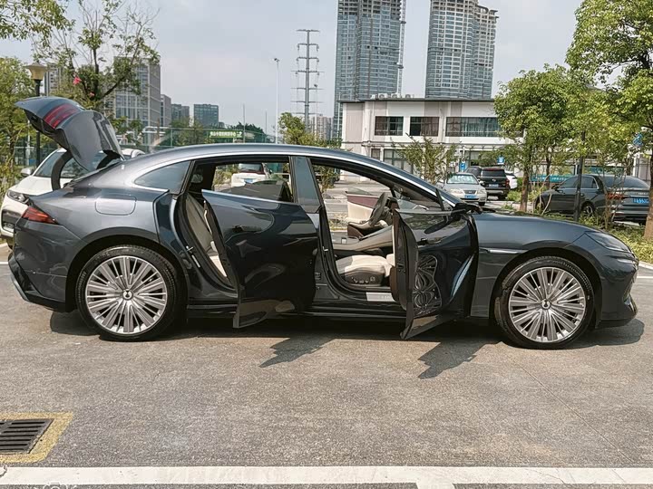 Фото 13 - Denza Z9