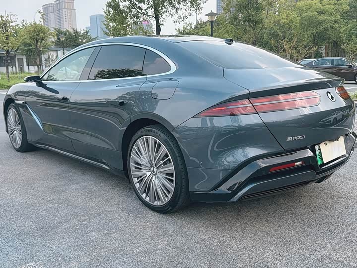 Фото 20 - Denza Z9