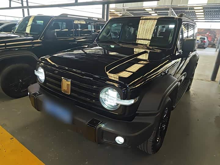 Фото 1 - Tank 300