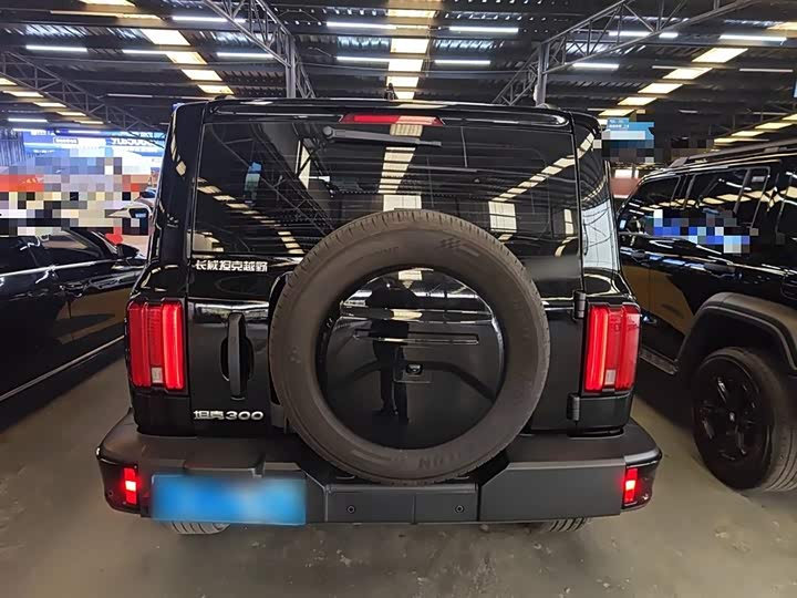 Фото 6 - Tank 300