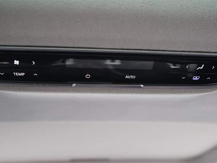 Фото 16 - Buick GL8 Century