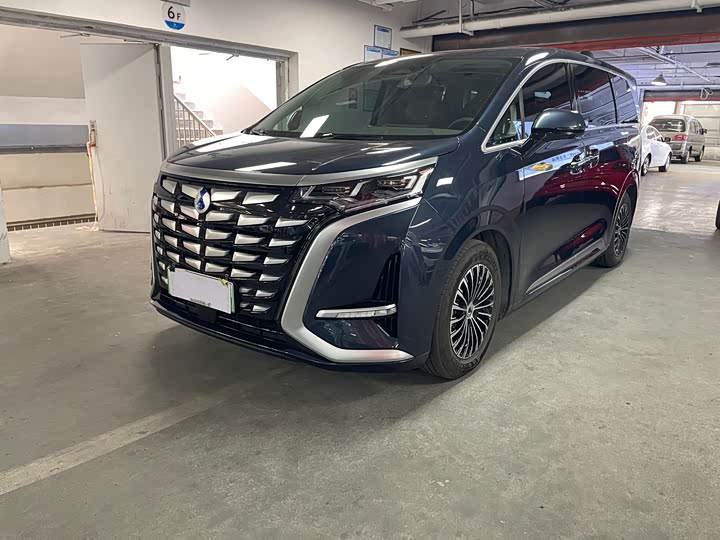 Фото 1 - Denza D9