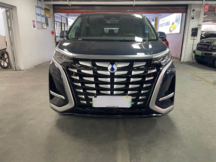 Фото 2 - Denza D9