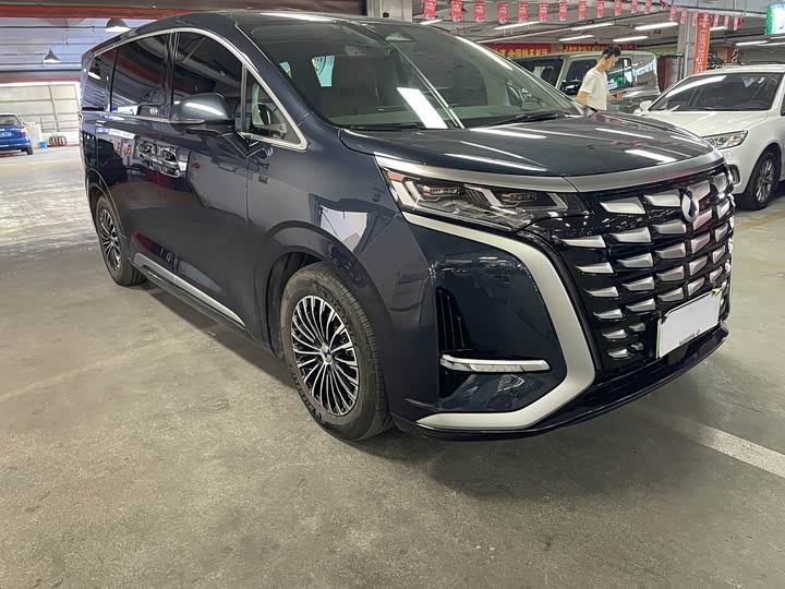 Фото 3 - Denza D9