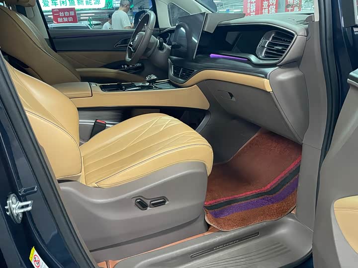 Фото 9 - Denza D9