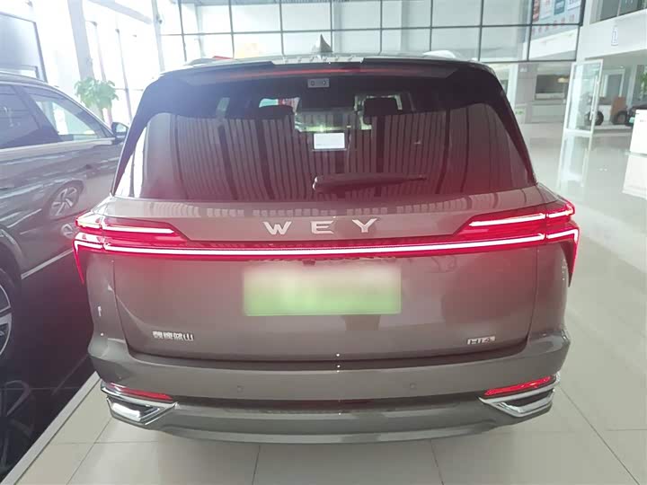 Фото 6 - Wey Lanshan