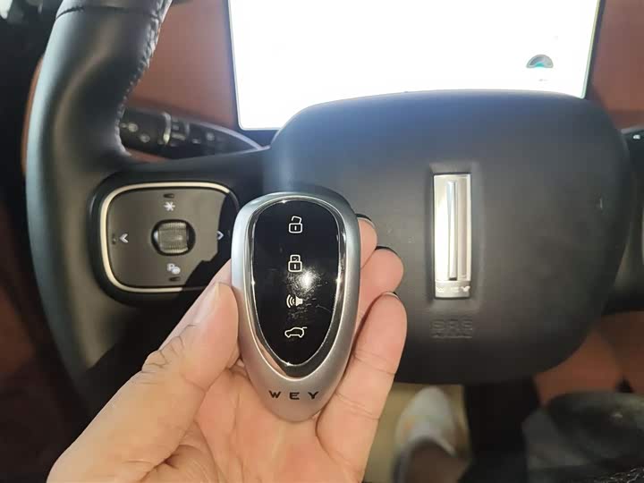 Фото 9 - Wey Lanshan