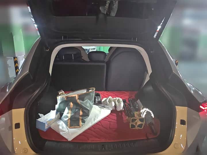 Фото 10 - IM motors LS7