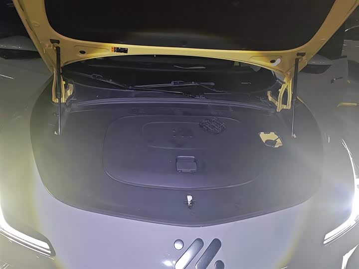 Фото 11 - IM motors LS7