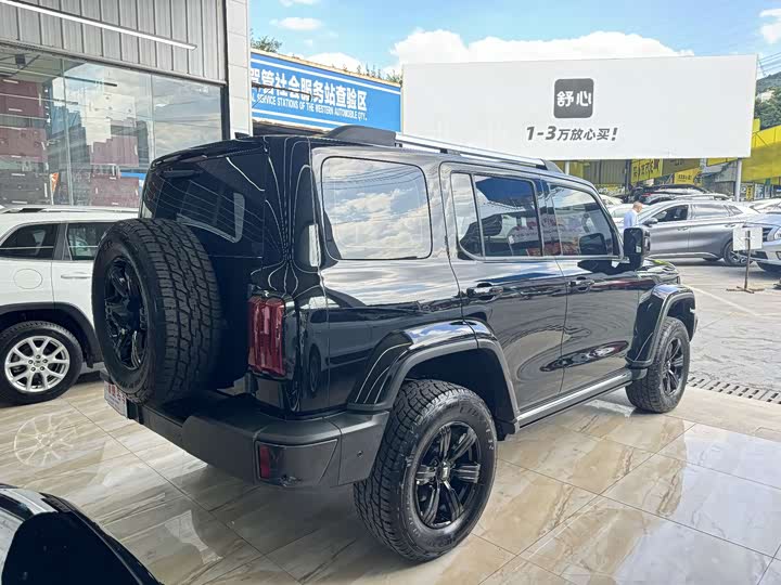 Фото 11 - Tank 300