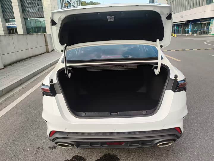 Фото 8 - Geely Binrui