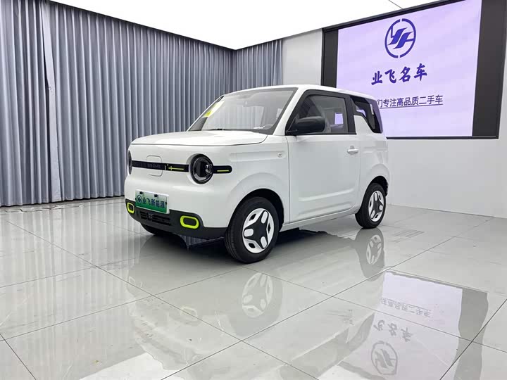 Фото 1 - Geely Galaxy Panda Mini