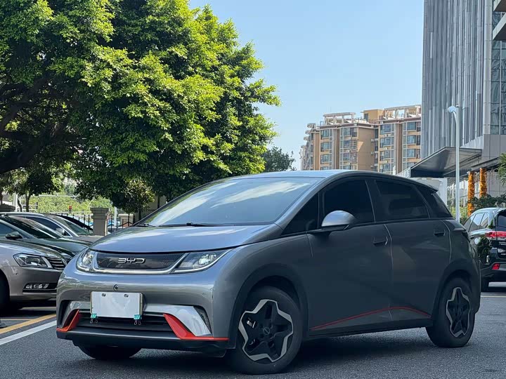 Фото 18 - BYD Dolphin