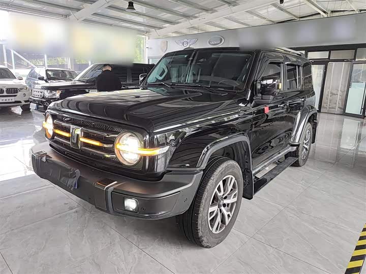 Фото 2 - Tank 300