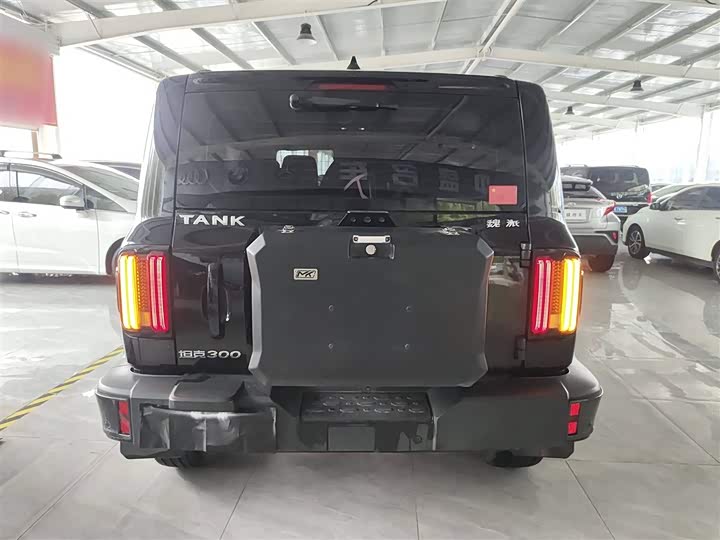 Фото 6 - Tank 300