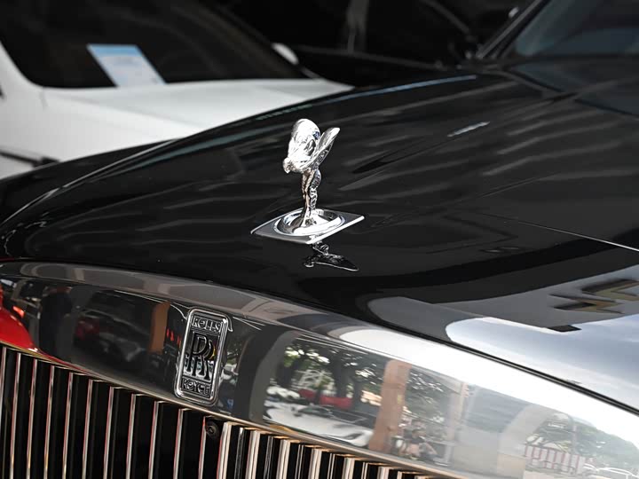 Фото 13 - Rolls-Royce Cullinan