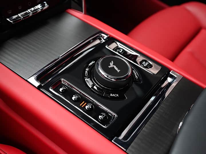 Фото 16 - Rolls-Royce Cullinan