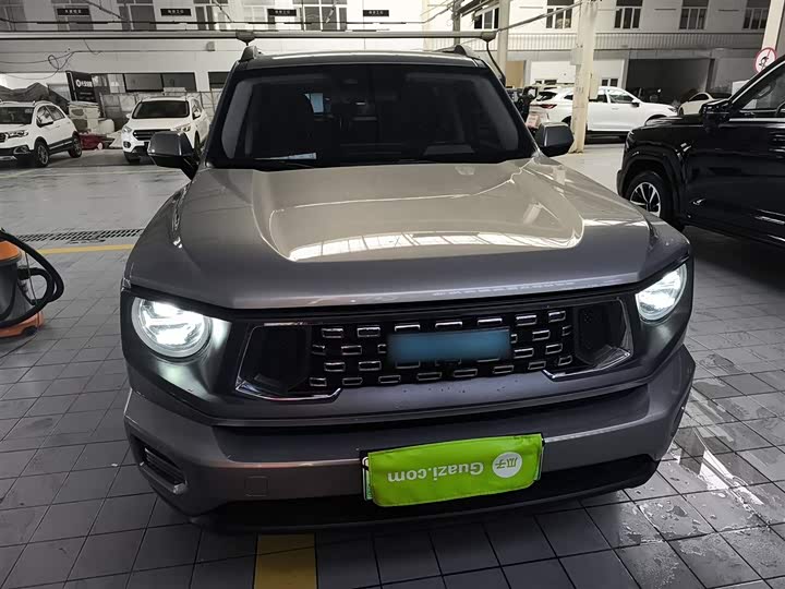 Фото 3 - Haval H-Dog Hybrid