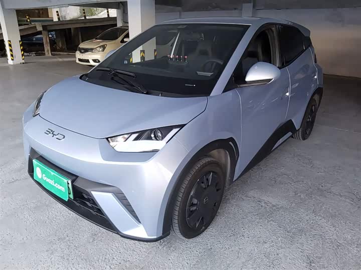 Фото 2 - BYD Seagull