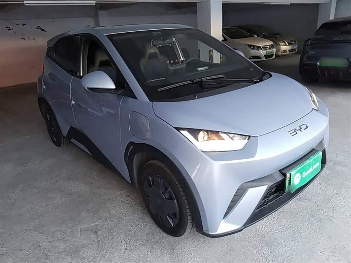 Фото 4 - BYD Seagull