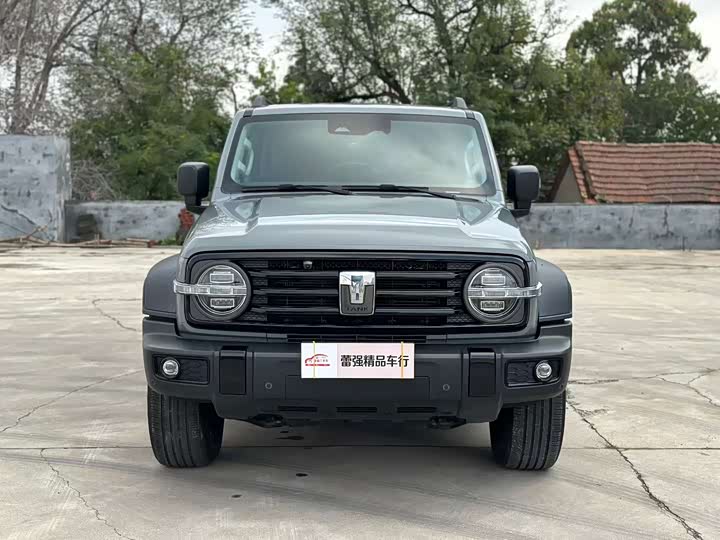 Фото 3 - Tank 300