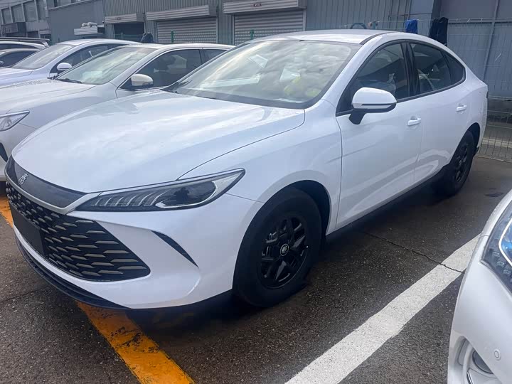 Фото 1 - BYD Qin Plus