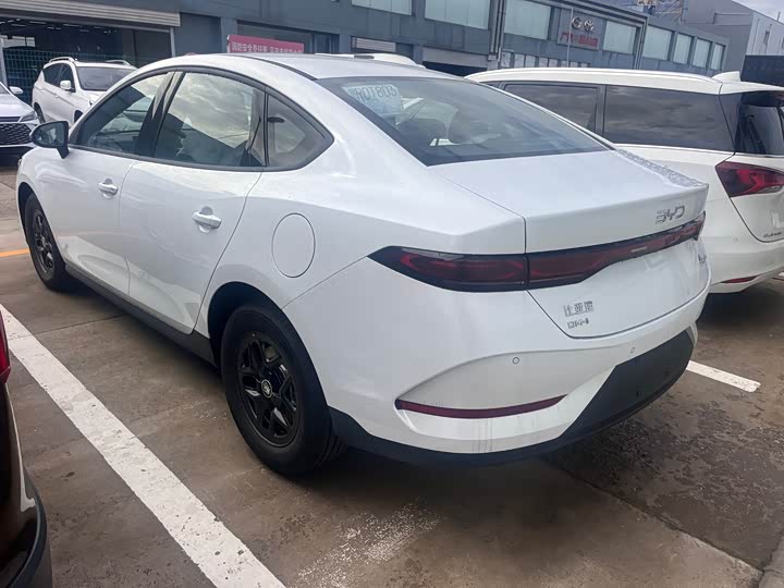 Фото 4 - BYD Qin Plus