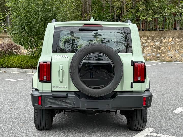 Фото 6 - Tank 300