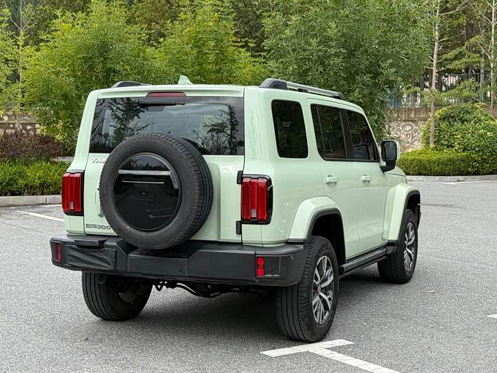 Фото 7 - Tank 300