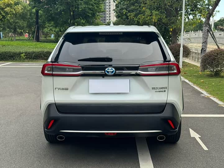 Фото 8 - Toyota Wildlander