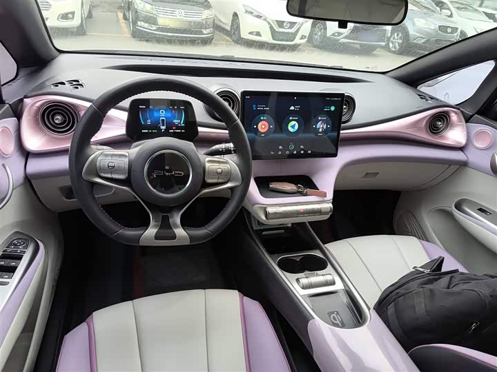 Фото 10 - BYD Dolphin