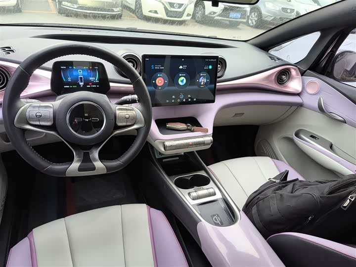 Фото 13 - BYD Dolphin