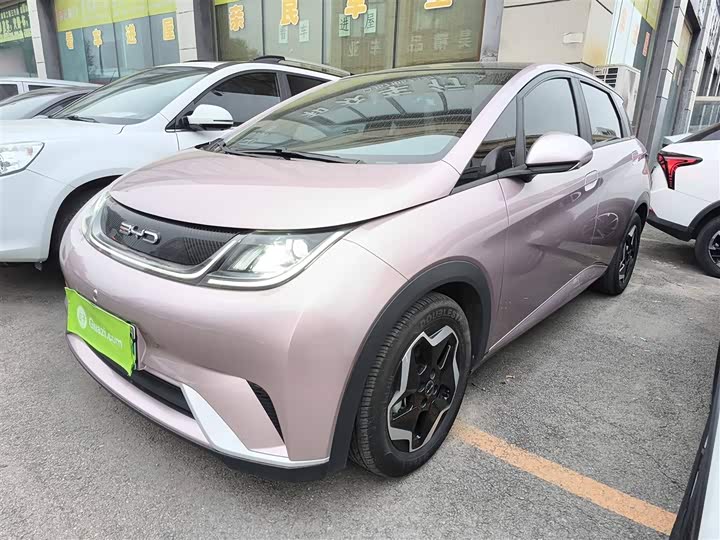 Фото 2 - BYD Dolphin