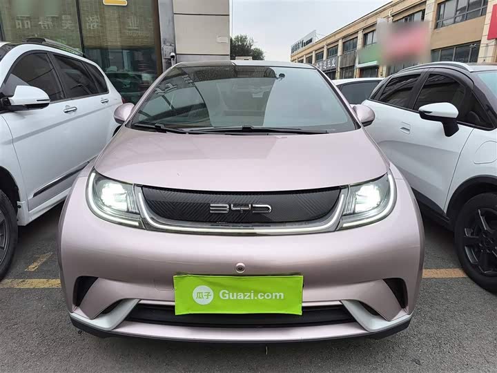 Фото 3 - BYD Dolphin