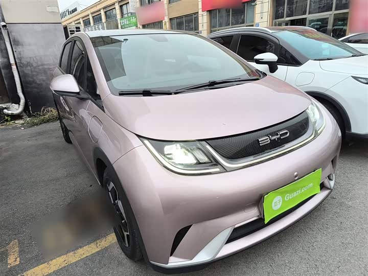 Фото 4 - BYD Dolphin