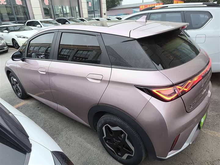 Фото 5 - BYD Dolphin