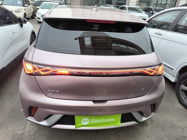 Фото 6 - BYD Dolphin